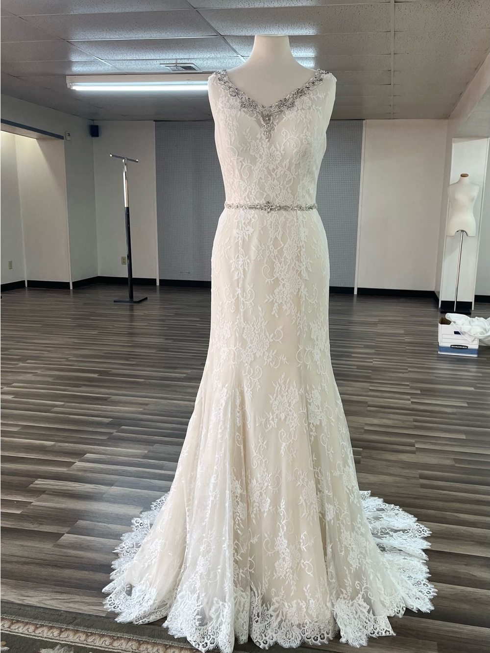 Ivory Lace/Champagne V-Neck Wedding Dress with Beaded Accents
